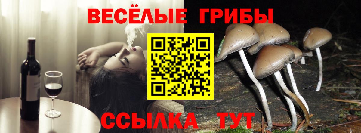 Новошахтинск  Галлюциногенные грибы мицелий  Вход с VPN  Галлюциногенные грибы GOLDEN TEACHER 