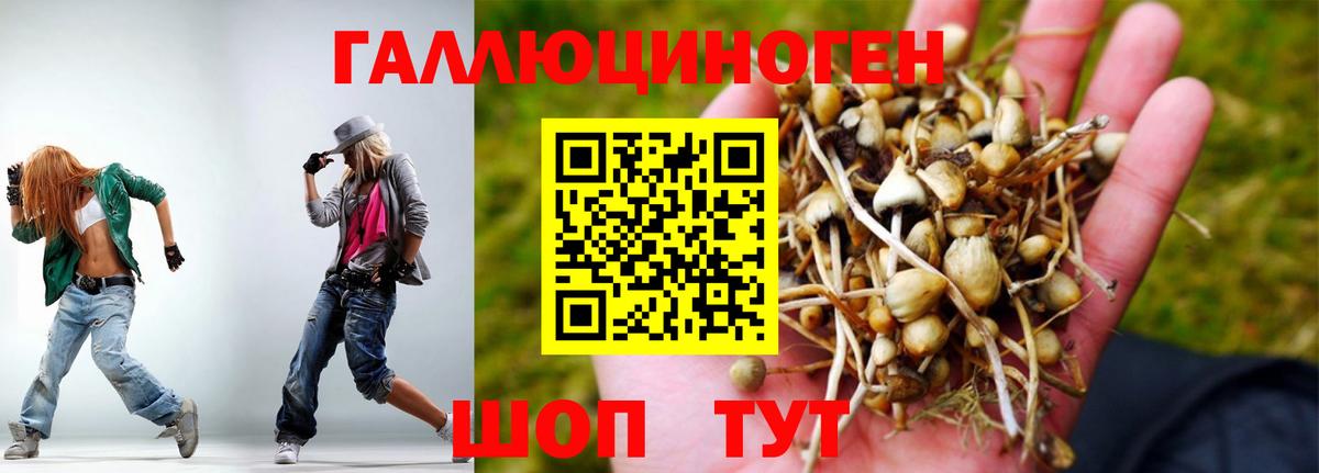 Псилоцибиновые грибы прущие грибы Новошахтинск